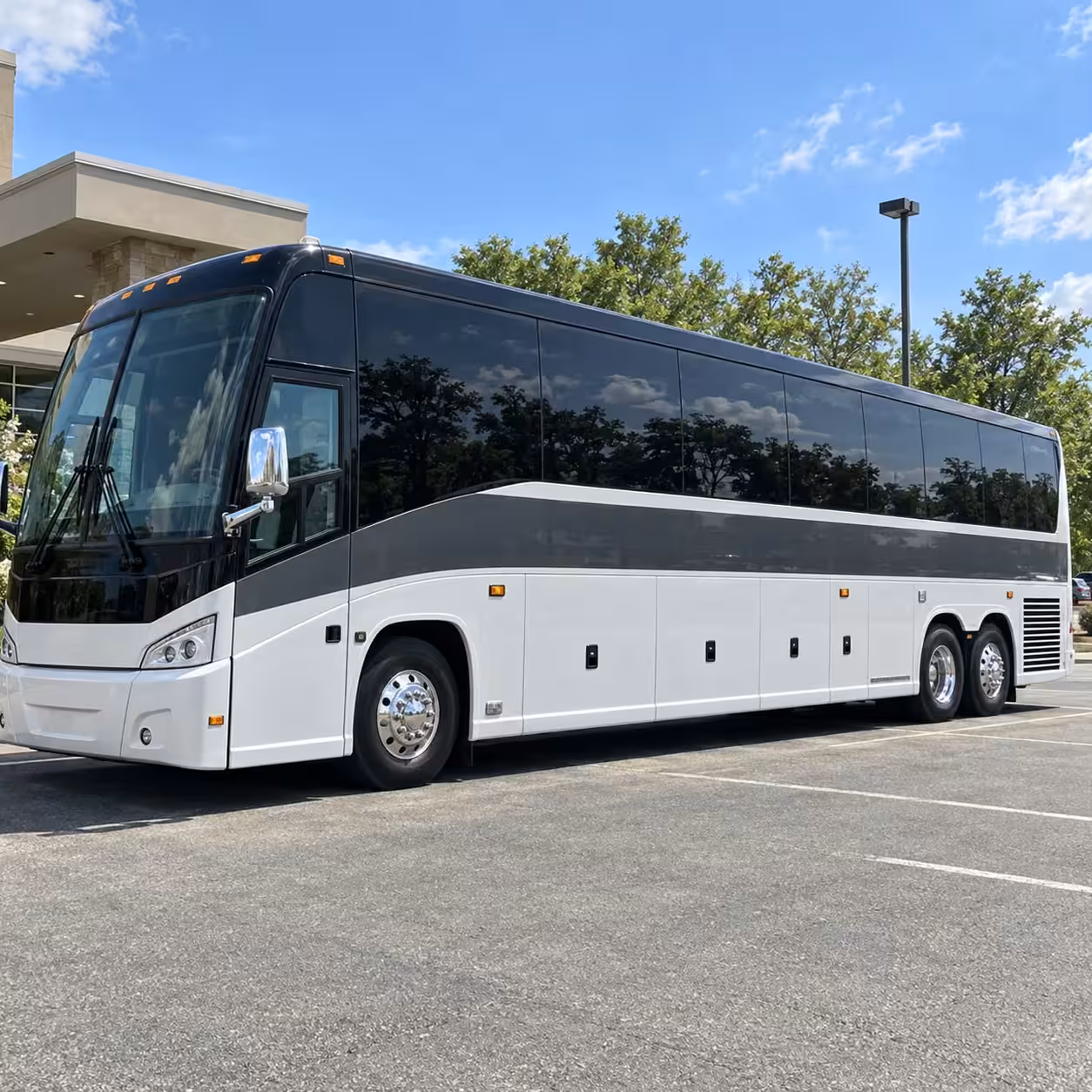 mission viejo charter bus rentals for orange county zoo field trips